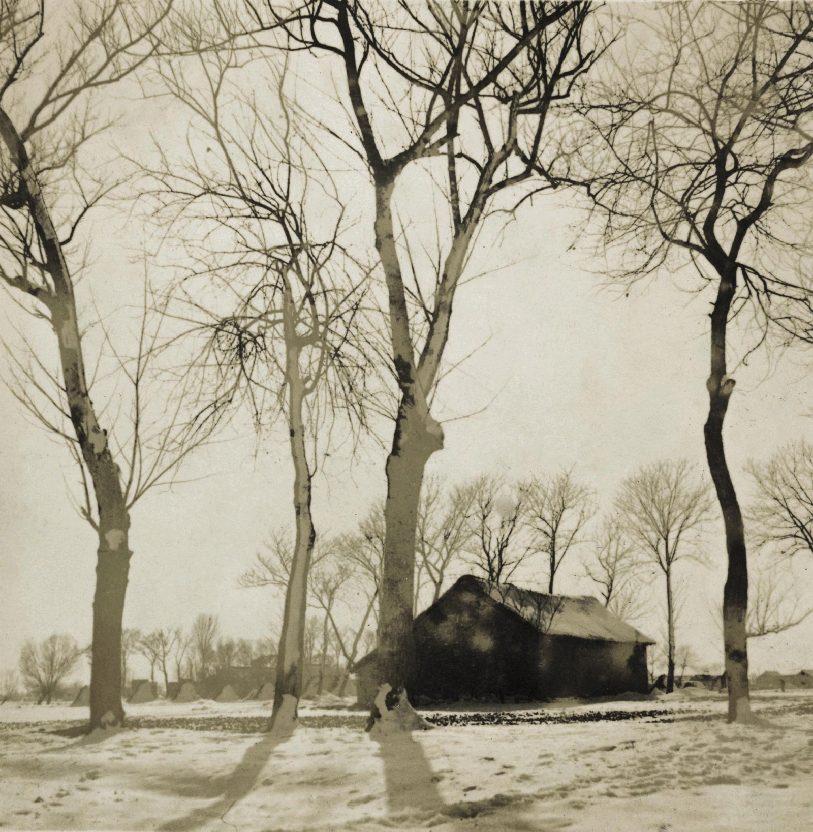 Snow, Jin Shisheng, 1930s, courtesy of the estate of Jin Shisheng