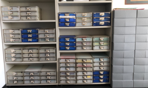 Nachlass von Dr. Engelhardt in den Räumen des IAAW, Copyright (c) Diana Lange